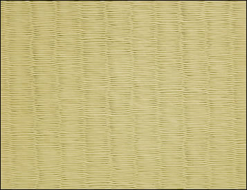 Jiu Jitsu Tatami Mat